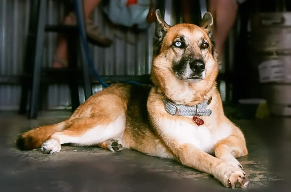 Ava Doe - straight up GIRL BOSS.  Photo Cred: The Doe’s FB collection.