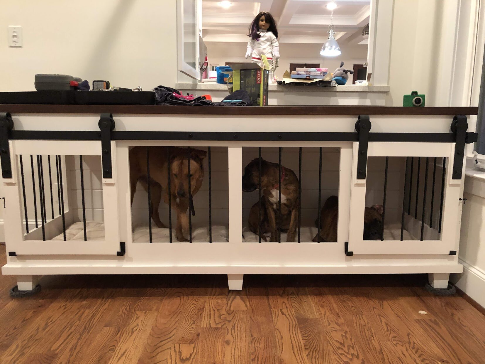 triple dog crate