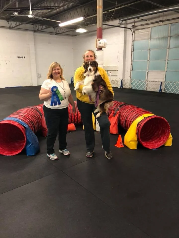 Lavaagility.jpg
