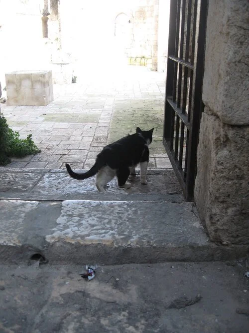 Watch Out for Business Identity Theft Especially if you are a Small Business