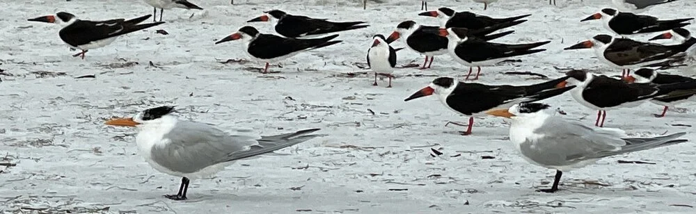 Embracing Cultural &amp; Regional Differences in Privacy &amp; HIPAA Programs