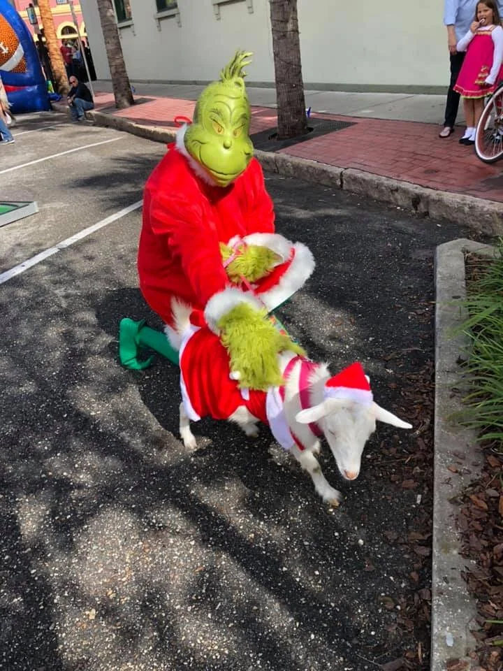 46514284_10217736402266757_8541659211132567552_n (1).jpg