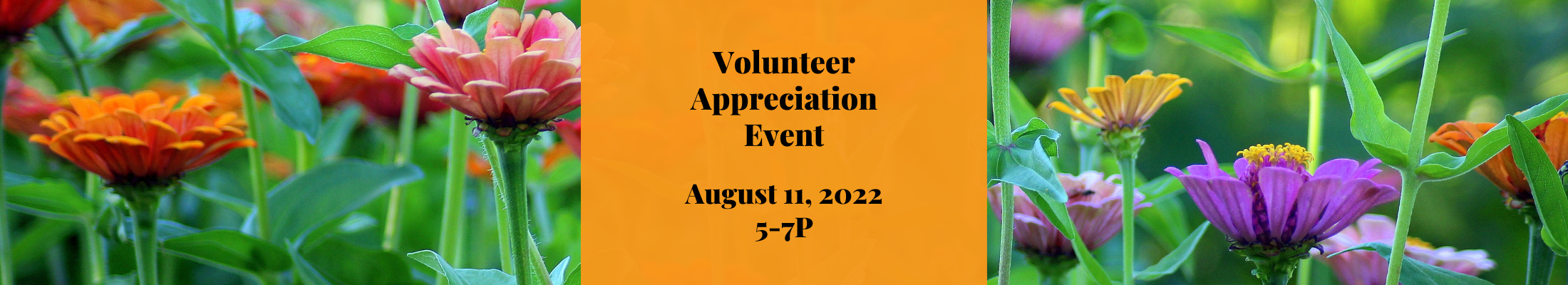 Main Street Volunteer Appreciation Event - Invitation Only