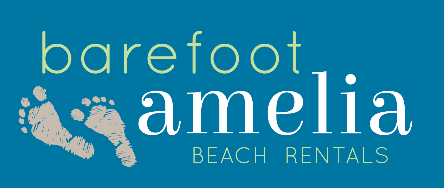 barefoot_amelia_logo_blue_v2 (1).png