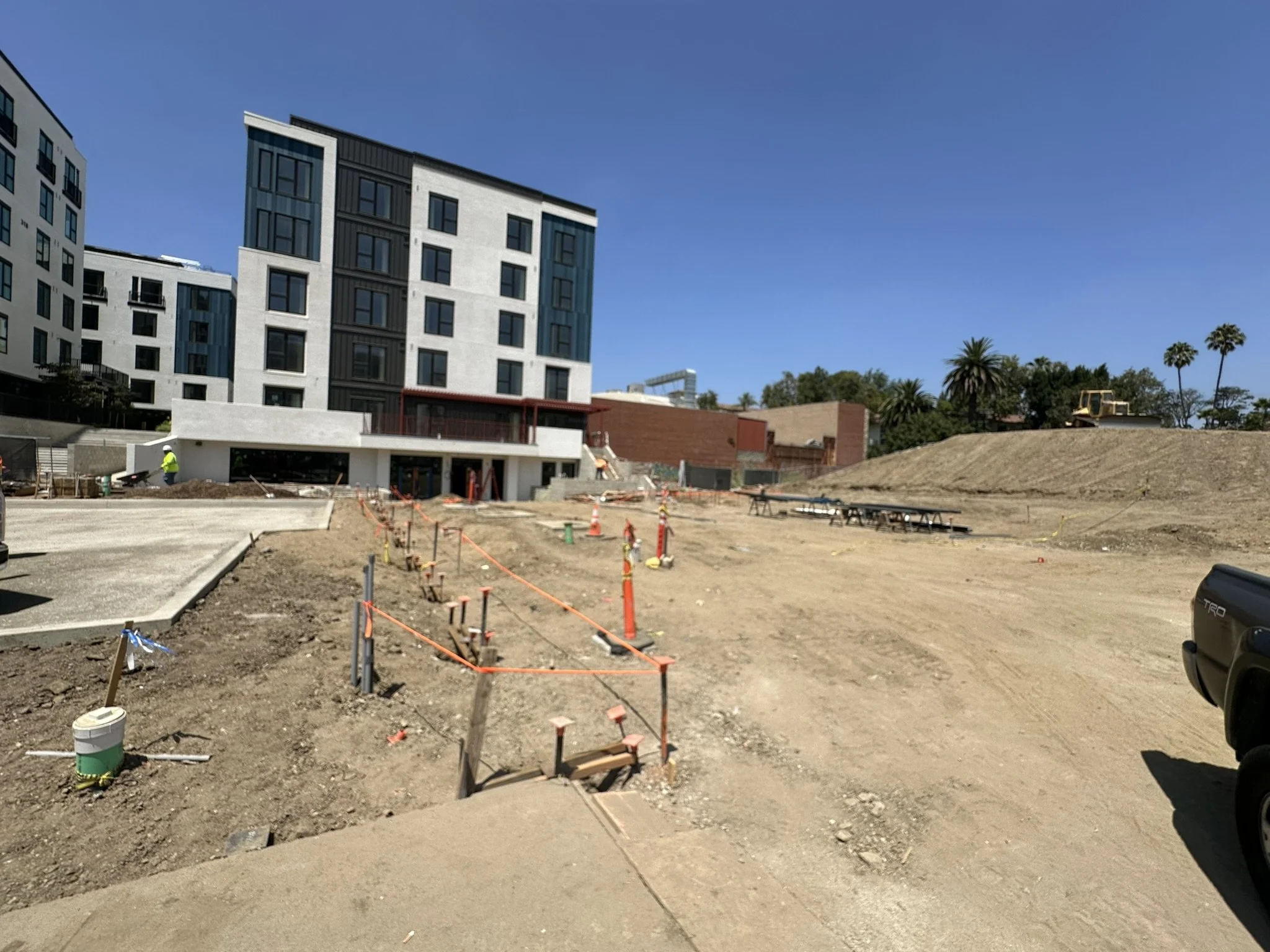 voltaire back 2.JPEG