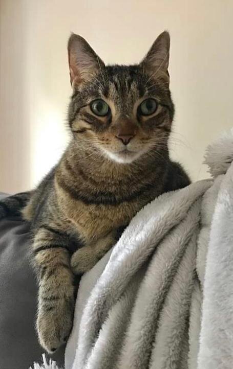 CECIL - THE SWEETEST BOY EVER