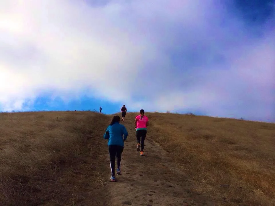 Dog park hill running route, Dublin CA