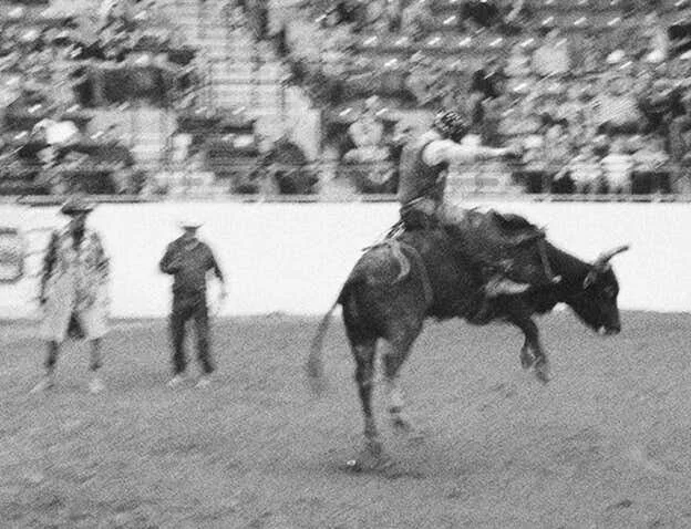 Bull Riding 2 copy.jpg