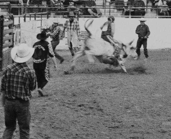 Bull Riding 5 copy.jpg