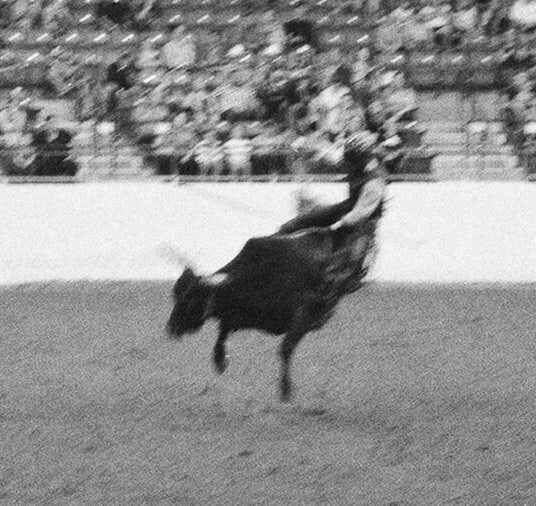 Bull Riding 1 copy.jpg
