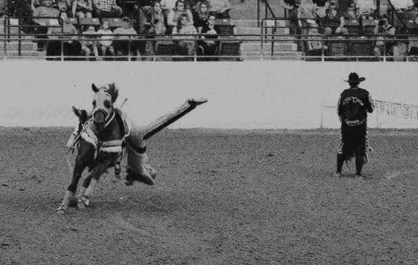 Trick Riding 1 copy.jpg