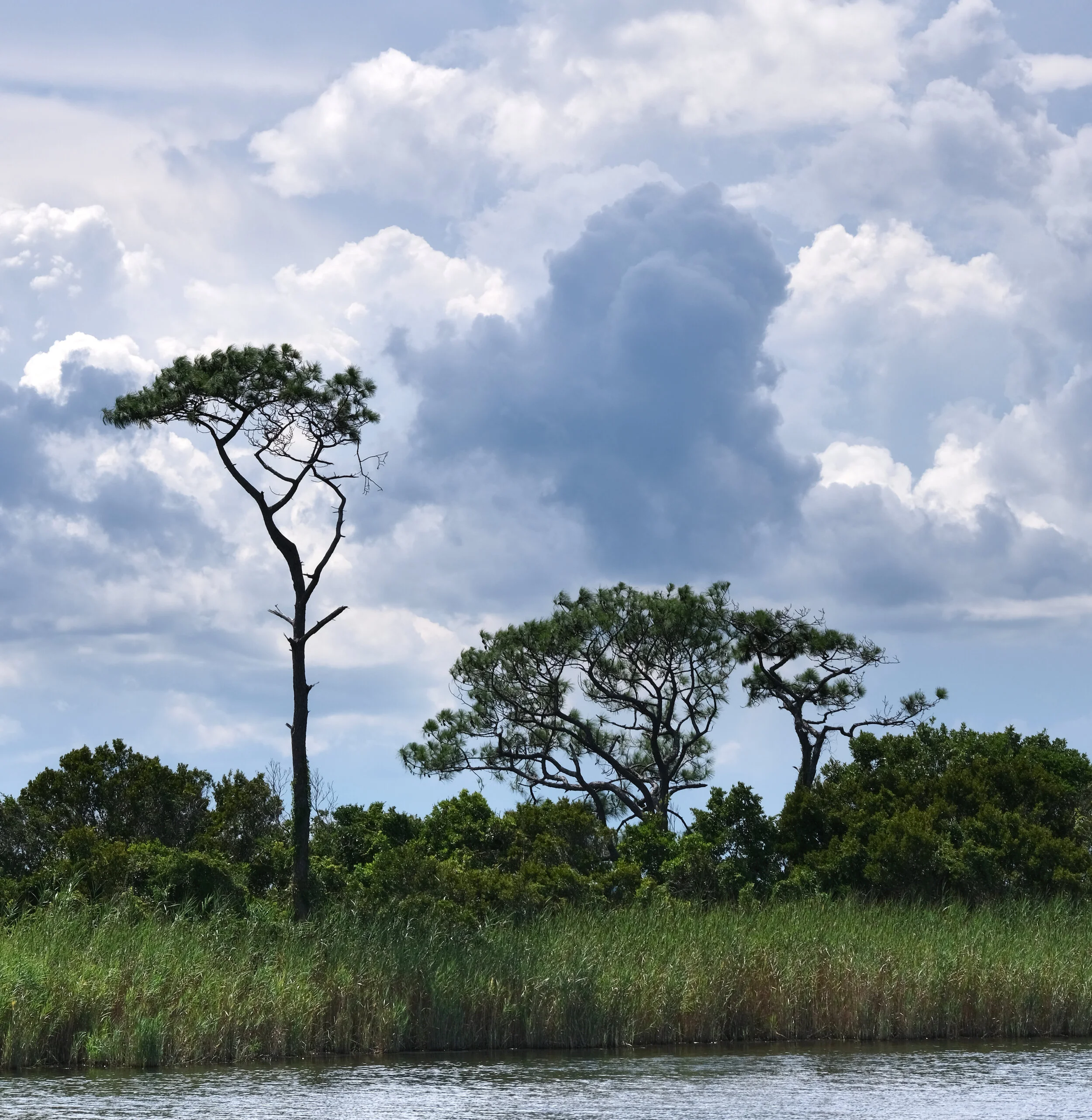 *Sound Side  3 copy.jpg