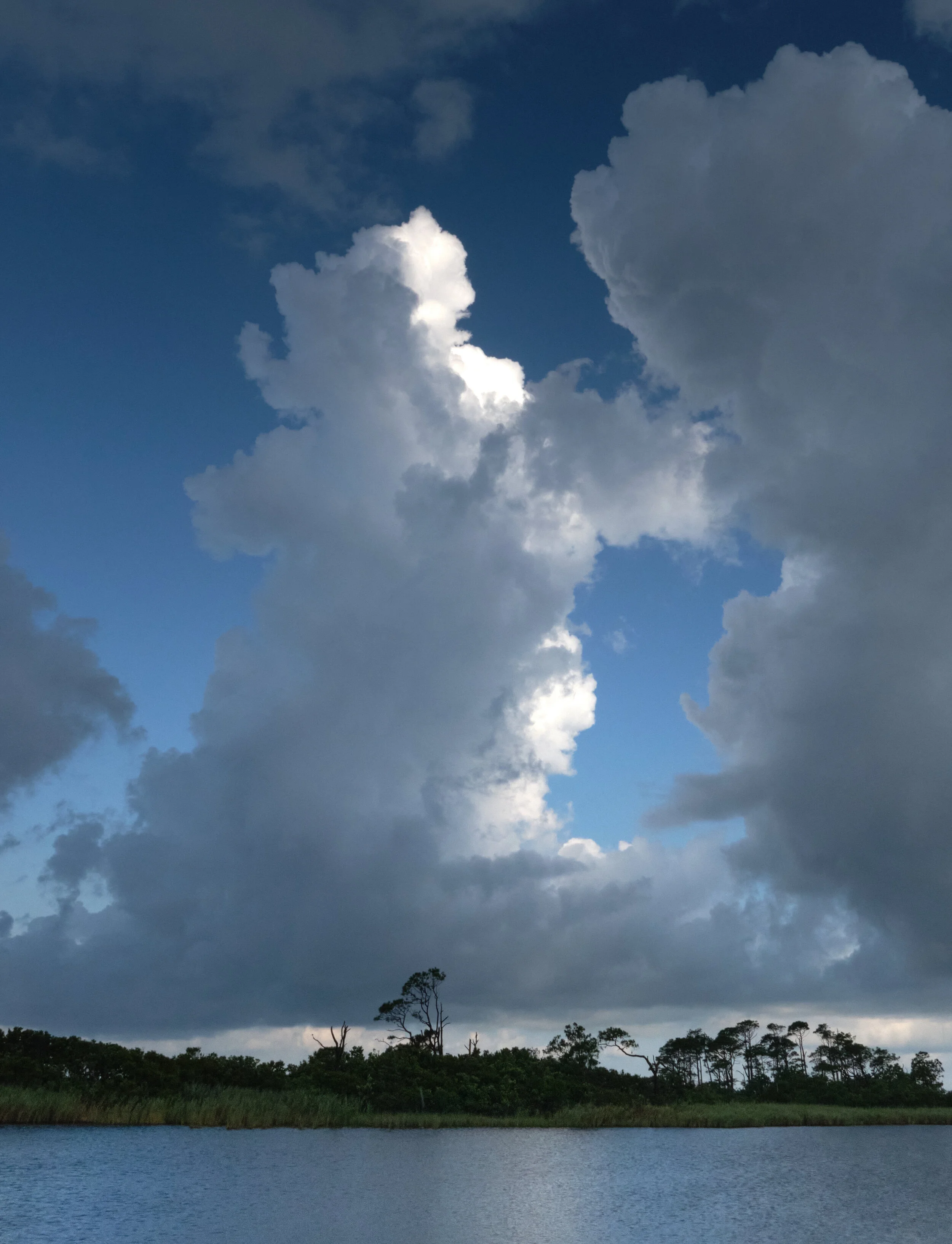 Currituck 1 DSCF6120 copy.jpg