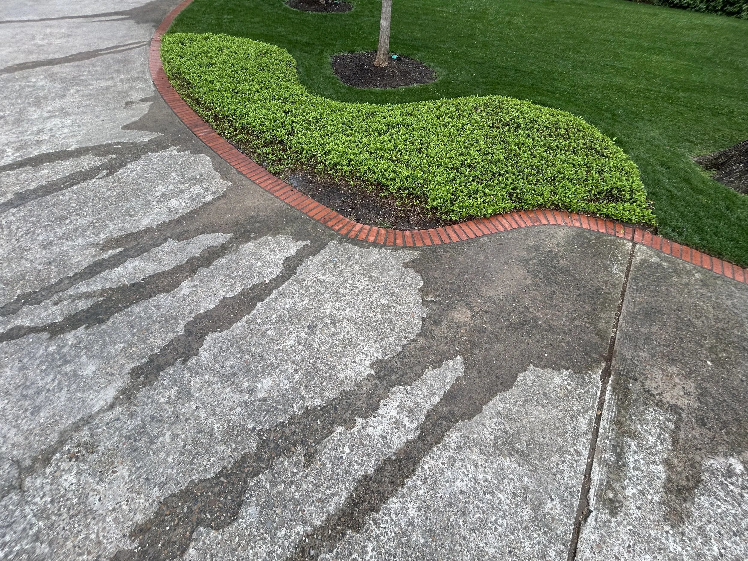 IMG_0531.jpeg
