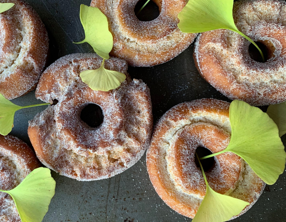 apple cider old fashioned donuts — elisasunga
