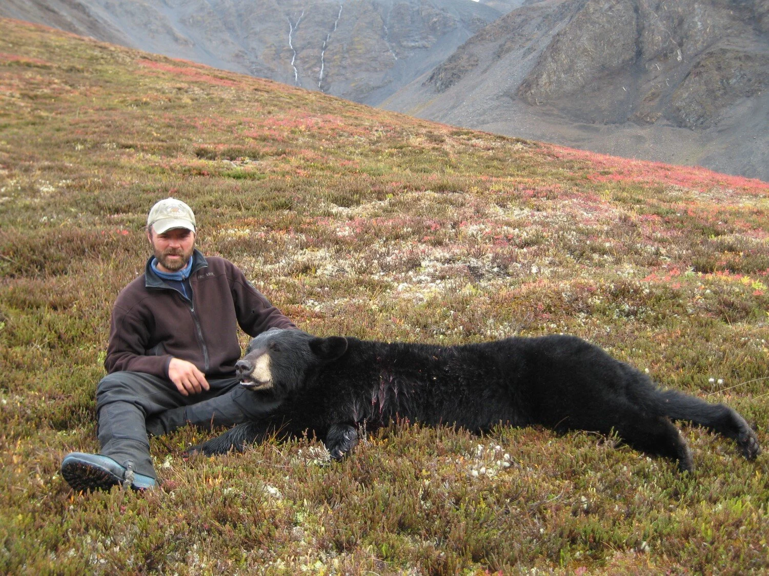 Dubay-black-bear-W.jpg