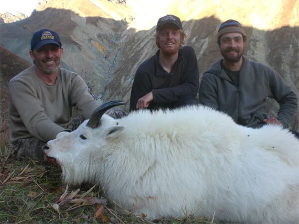 BZ-goat-W.jpg