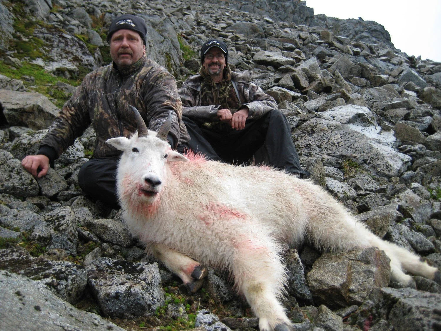 Ewell-Goat-W.jpg