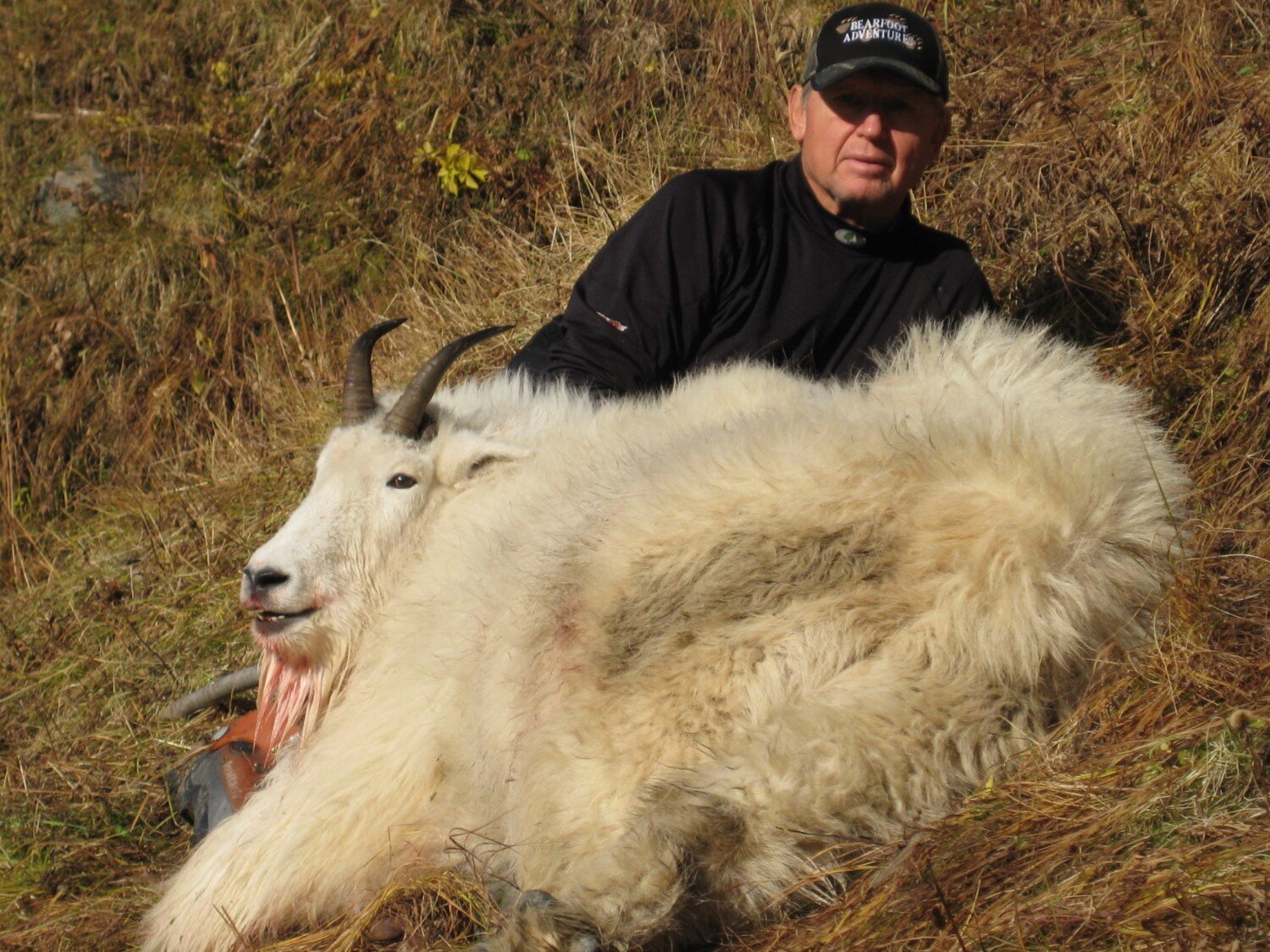 Greensage-goat-W.jpg