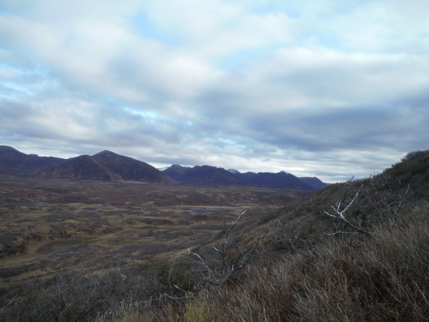 DSCF0290-W.png
