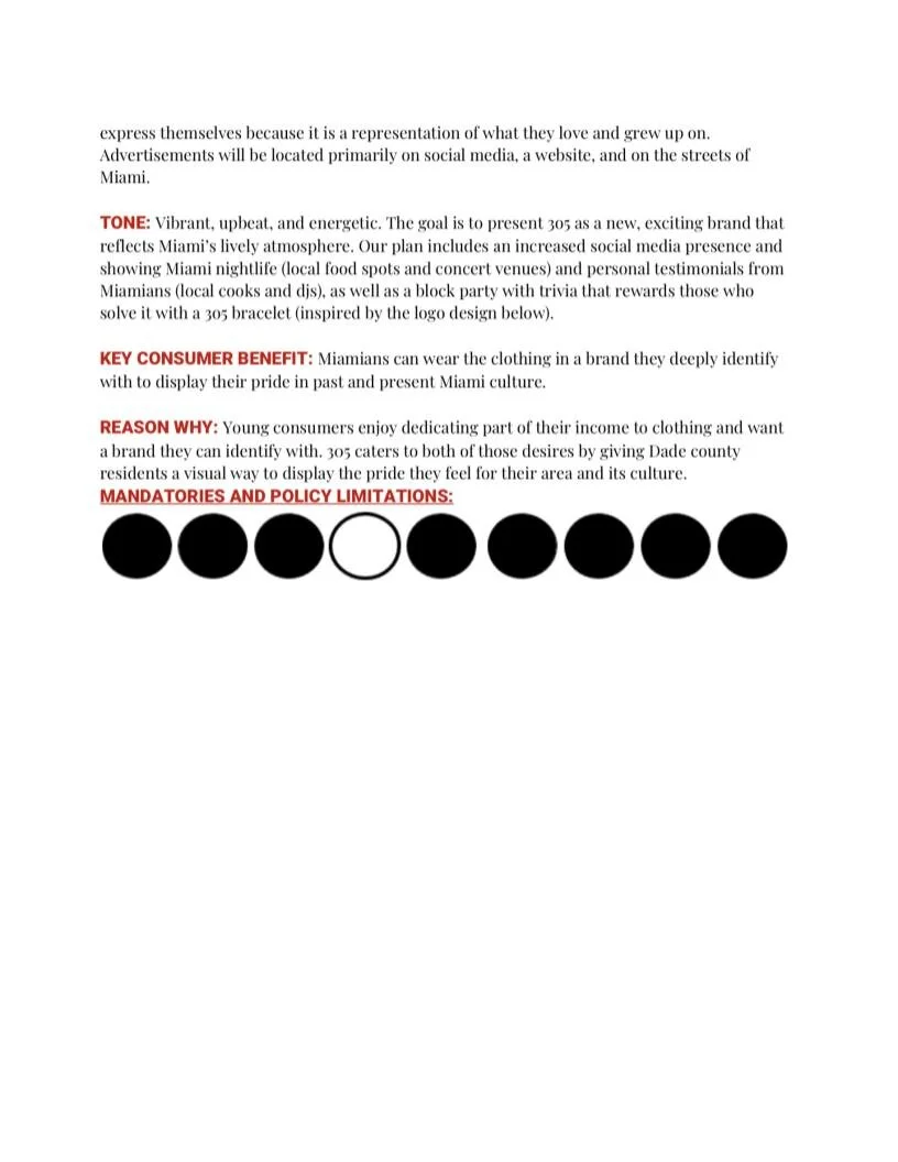 the 3o5 Campaign Book Layout-4.jpg