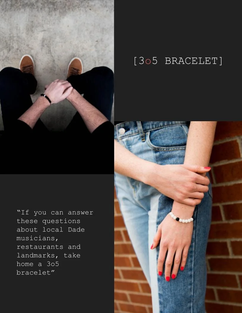 the 3o5 Campaign Book Layout-10.jpg