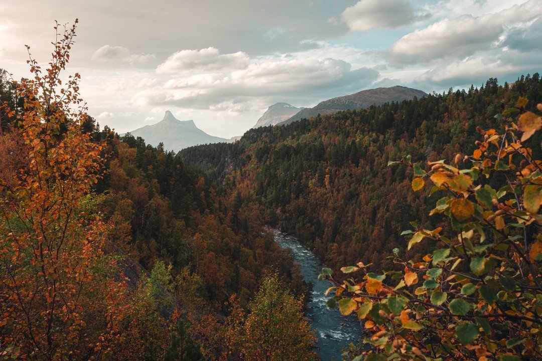 Can't wait to go back someday 😍⁣
#photography #landscape #Norway #visitnorway #photographer #travel @visitnorway #norge #nature #roamtheplanet
 #travelphotography #travelphotographer #sunset #uniquenorway #summer #autumn #fjord #moody #sunsetlovers 