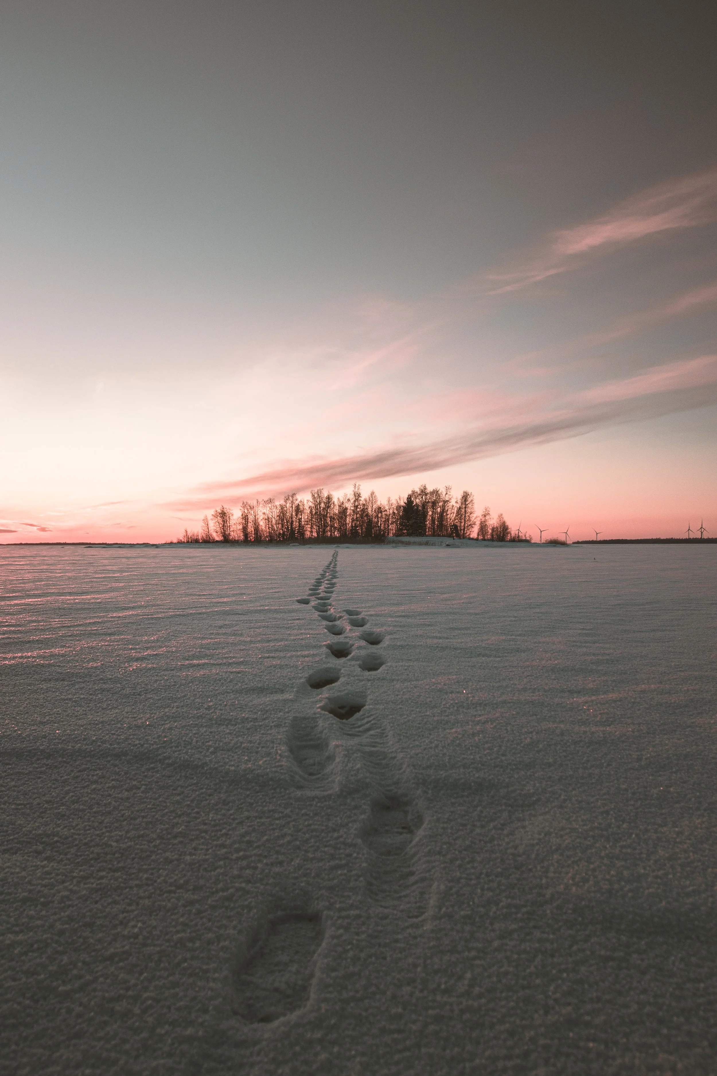 739A6999-Edit.jpg