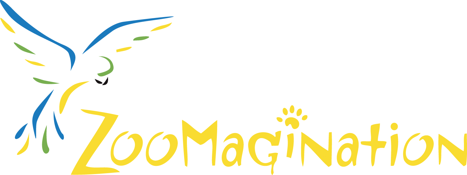 Zoomagination