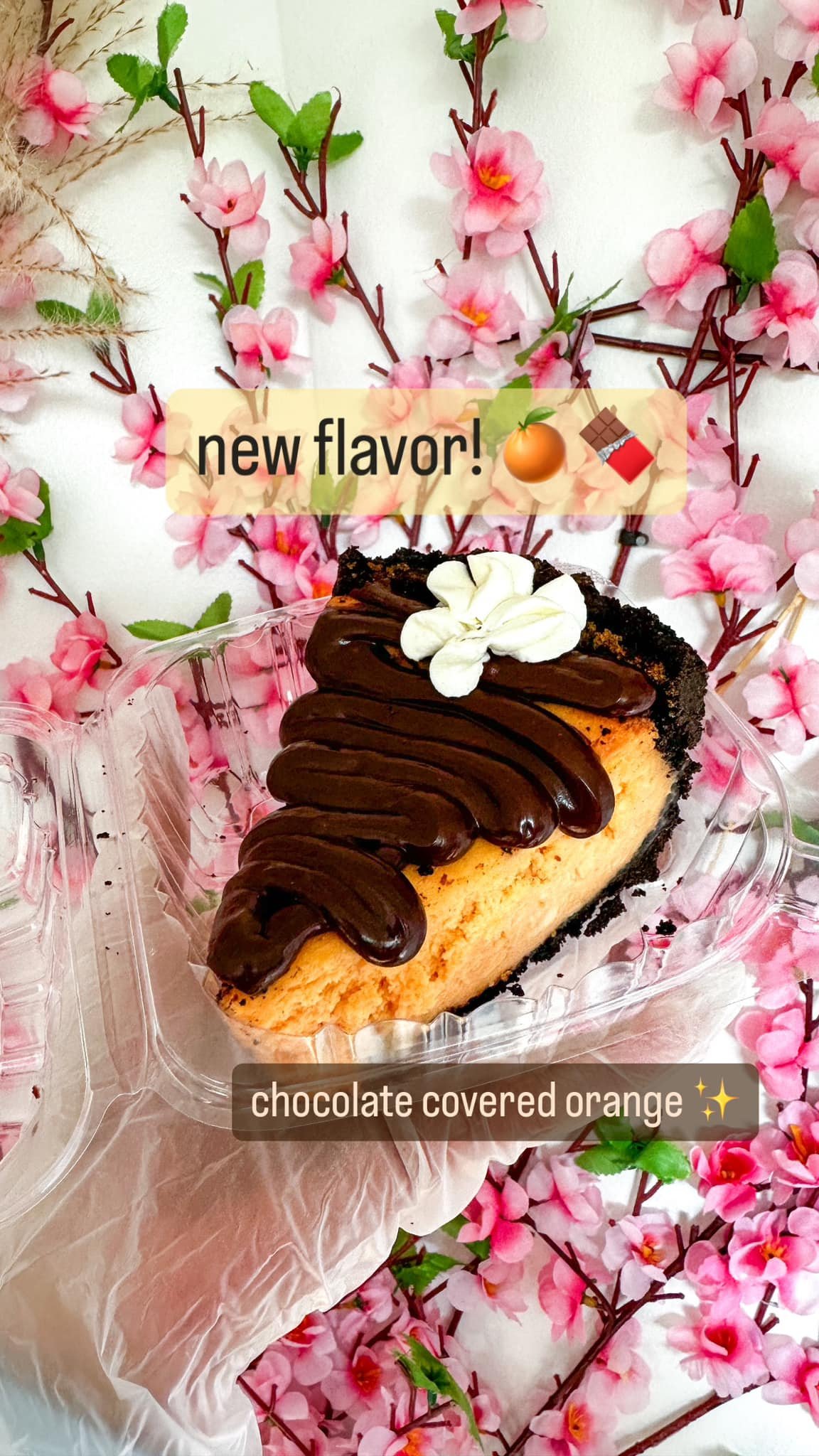 chocolate covered orange cheesecake 🍫🍊☺️