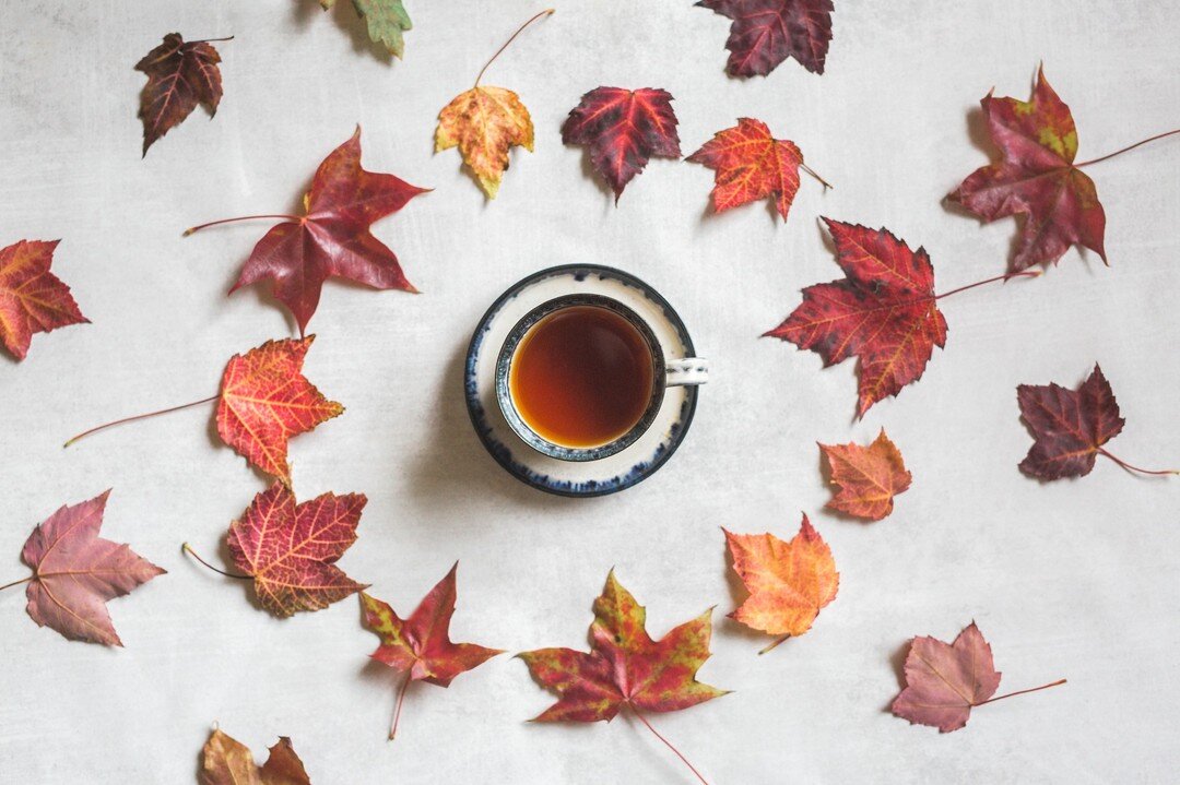 I've been so busy in clinic 💛  recently, I forgot to share my with my latest seasonal newsletter with you all, in celebration of Autumn! 🍁

In this newsletter (link in my bio), learn all about:

🍁  Supporting your immune health through the coming 