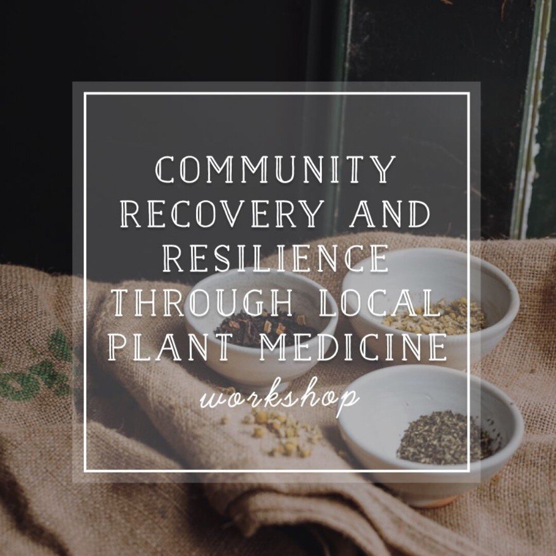 I'm honoured to have been invited to present at this weekend's Community Resilience Festival. Organised by @lyttletonstores and funded by @bluemountainscitycouncil, the festival aims to aid social and environmental recovery in the wake of recent even