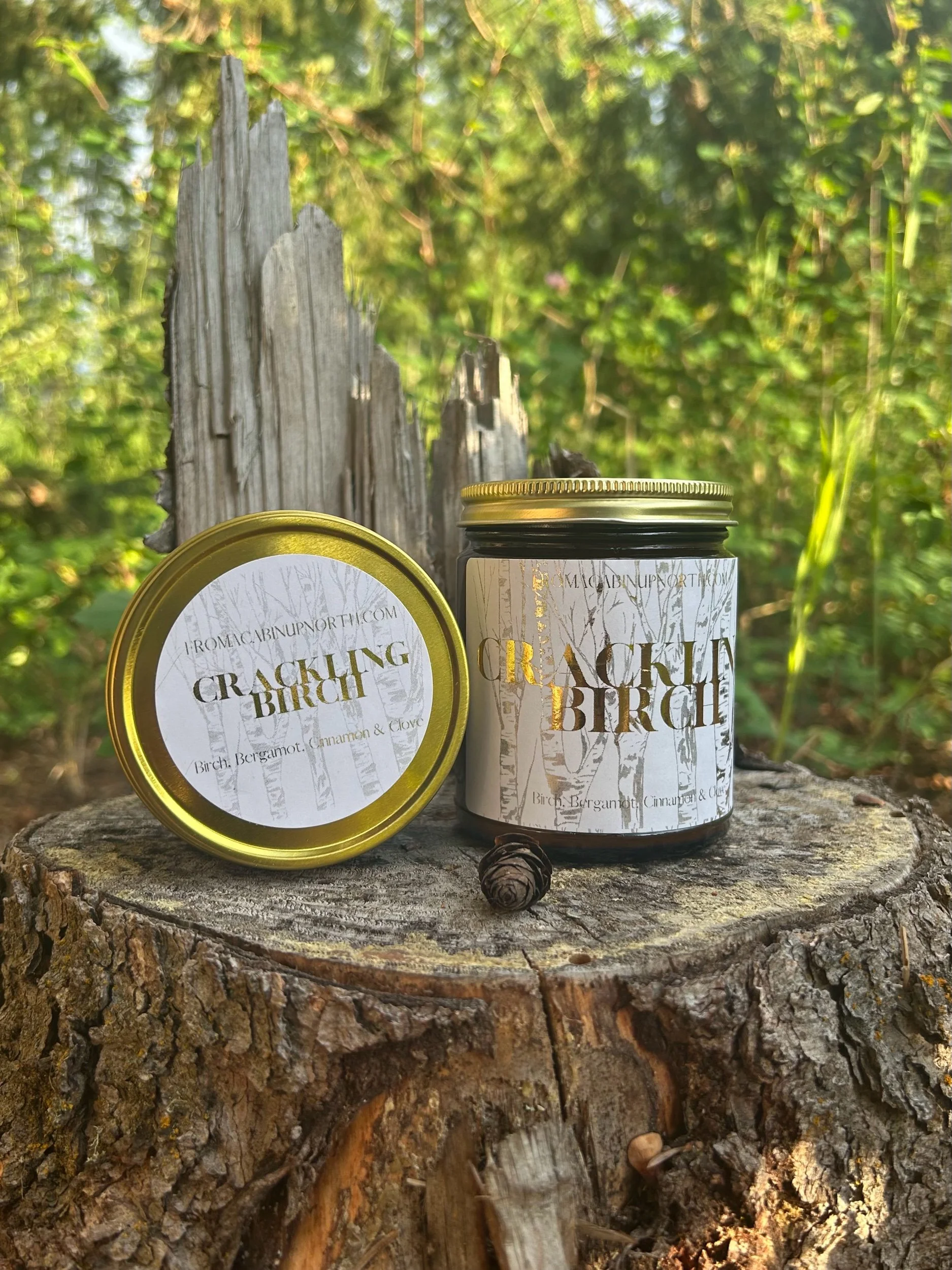 Crackling Birch