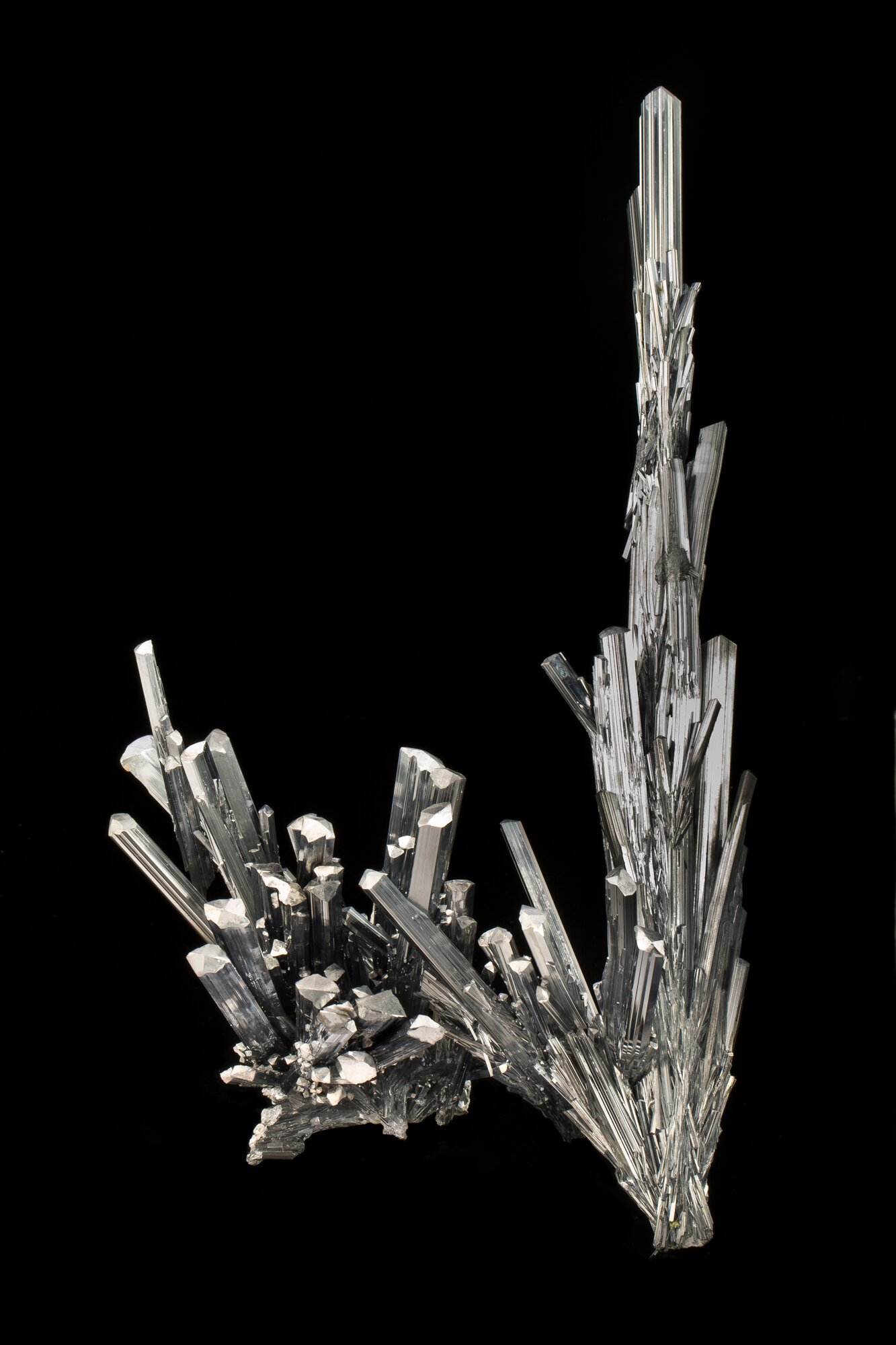  Stibnite, 37.5 cm, from the Wuling mine, Changde Prefecture, Jiangxi Province, China. Collected in 2002; ex Bruce Oreck collection. 