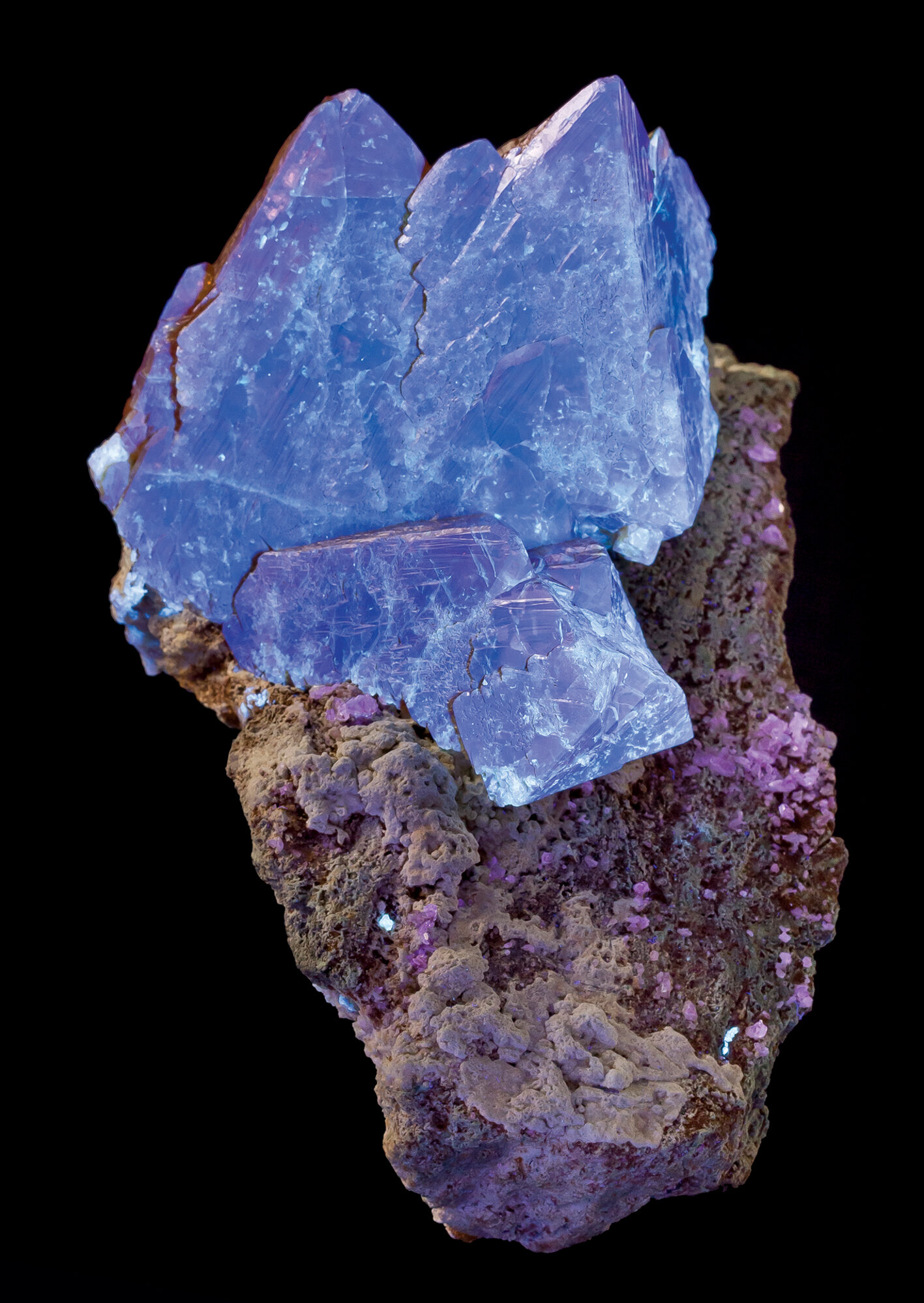  Scheelite crystals on matrix, 16.5 cm, shown in fluorescent light, found in 2006; from the Pingwu mine, Huya Township, Mt. Xuebaoding, Pingwu County, Mianyang Prefecture, Sichuan Province, China. 