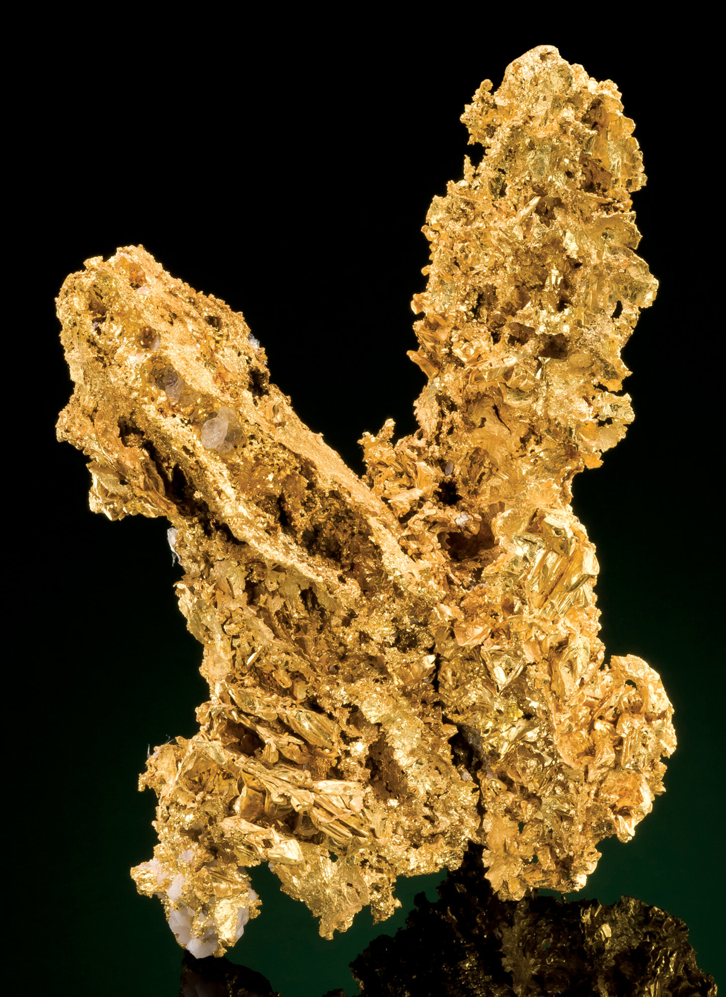  Native gold from the Ganzizhou mine, Meigu County, Liangshan Prefecture, Sichuan Province, China; 12 cm. 