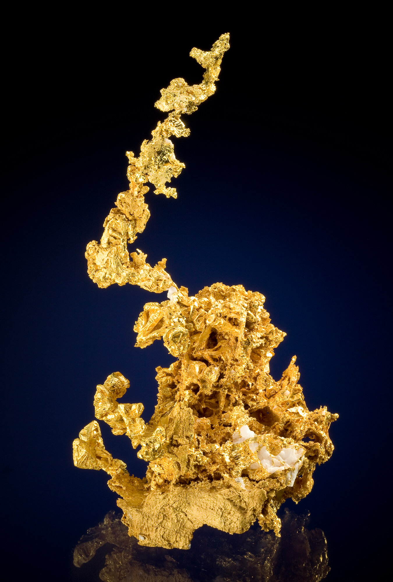  Native gold from the Ganzizhou mine, Meigu County, Liangshan Prefecture, Sichuan Province, China; 11.4 cm. 