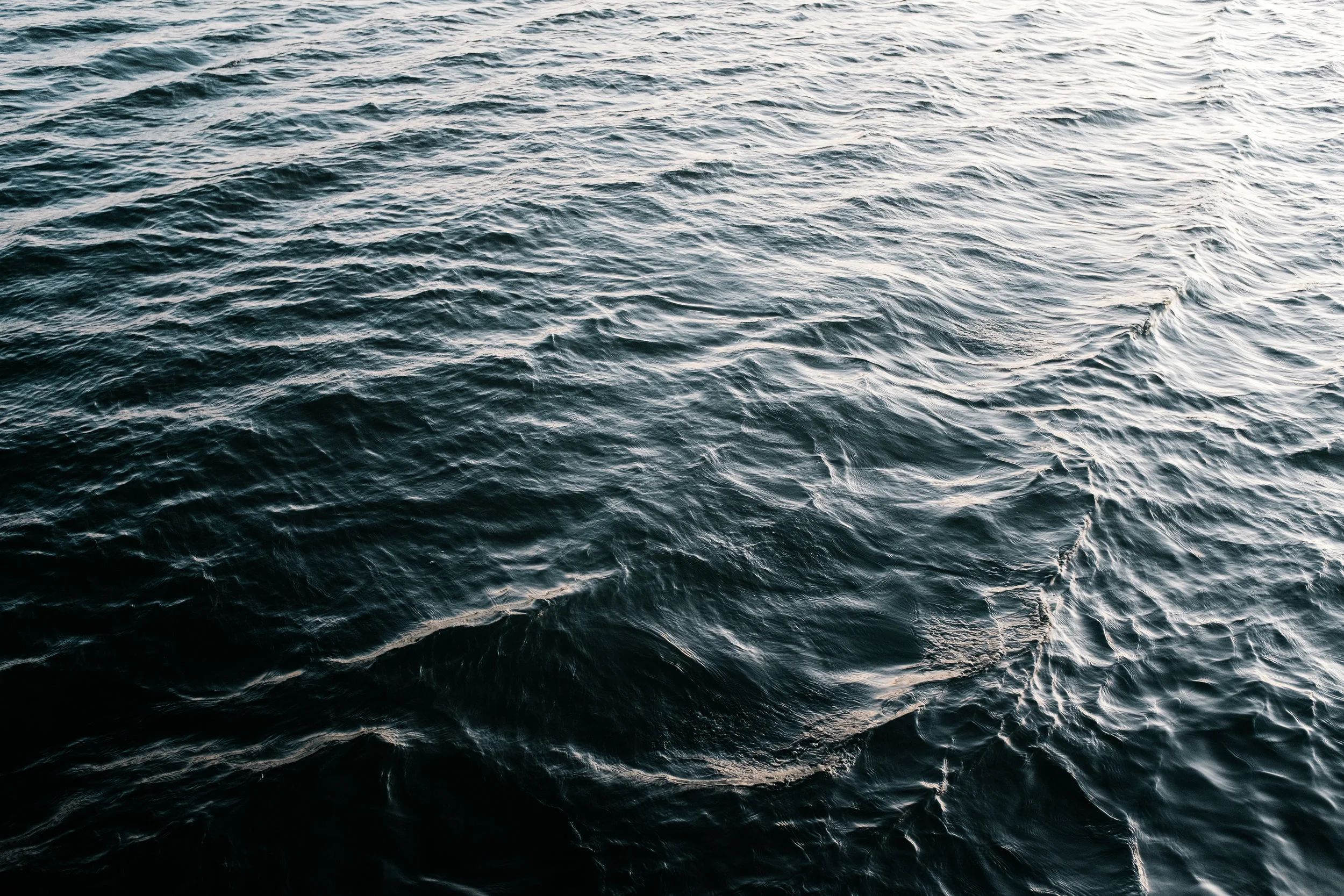 Ein wundersamer Tausch