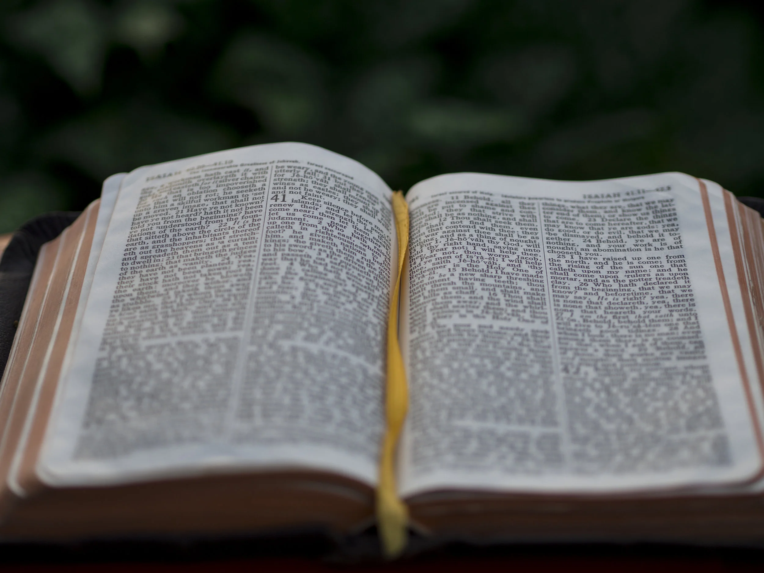  Ist die Bibel Gottes Wort?