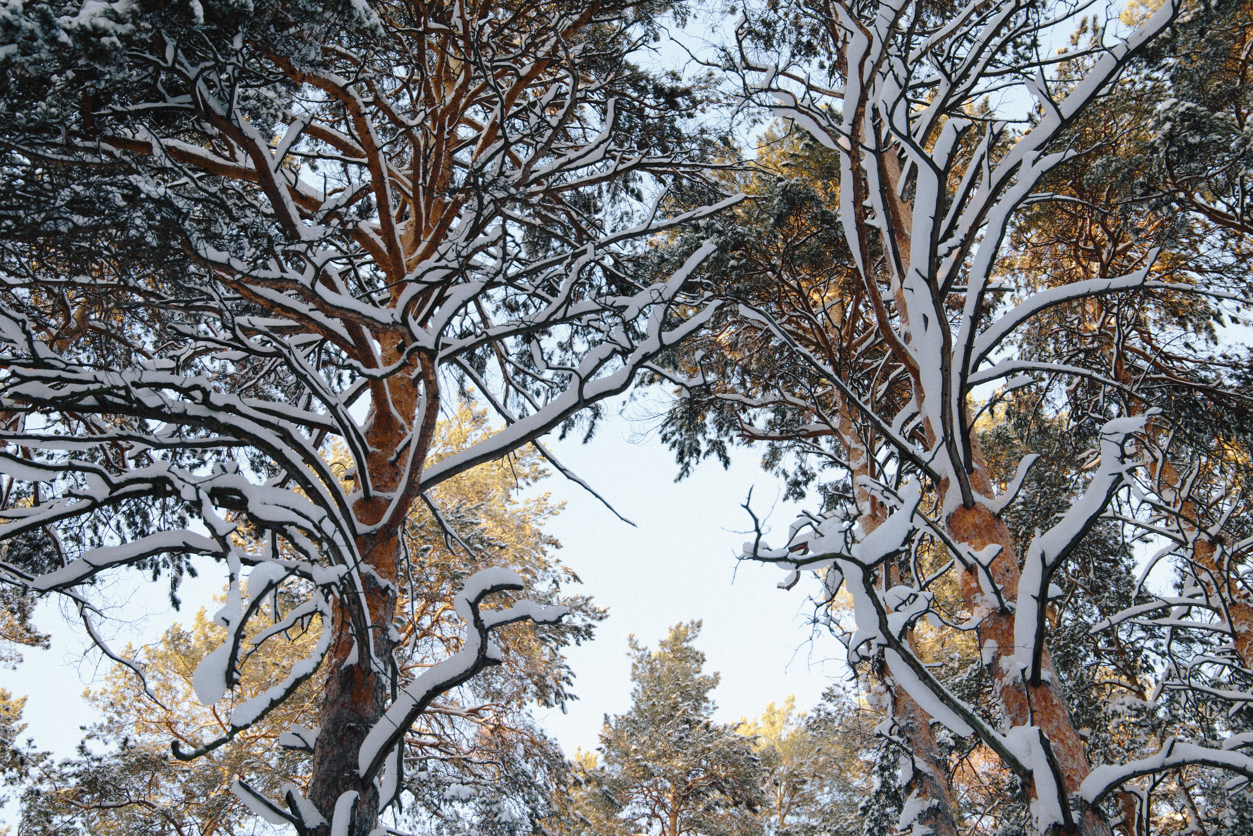 Was die Sünde zur Sünde macht.