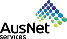 AusNetServices.png