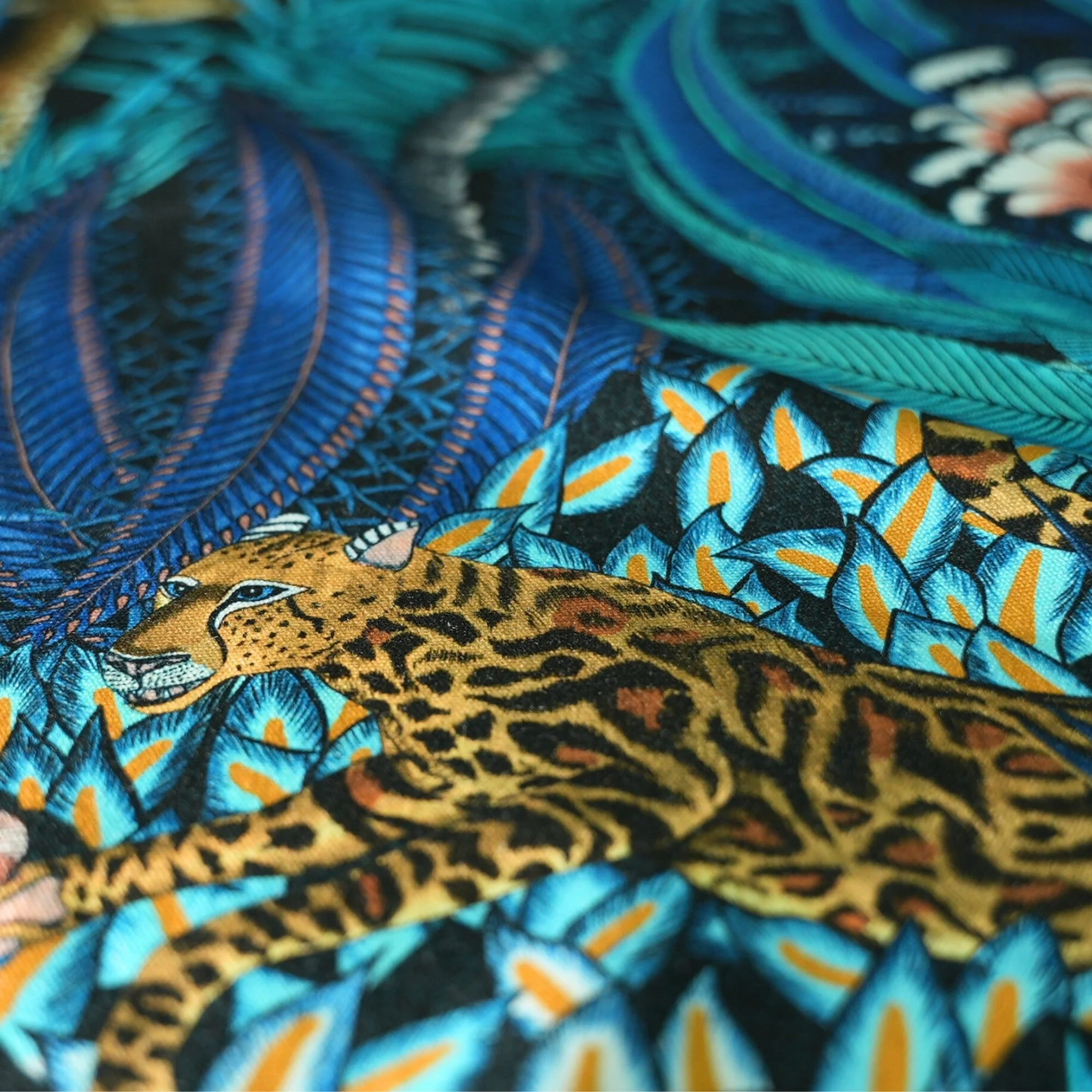 mid leopard 6.jpg