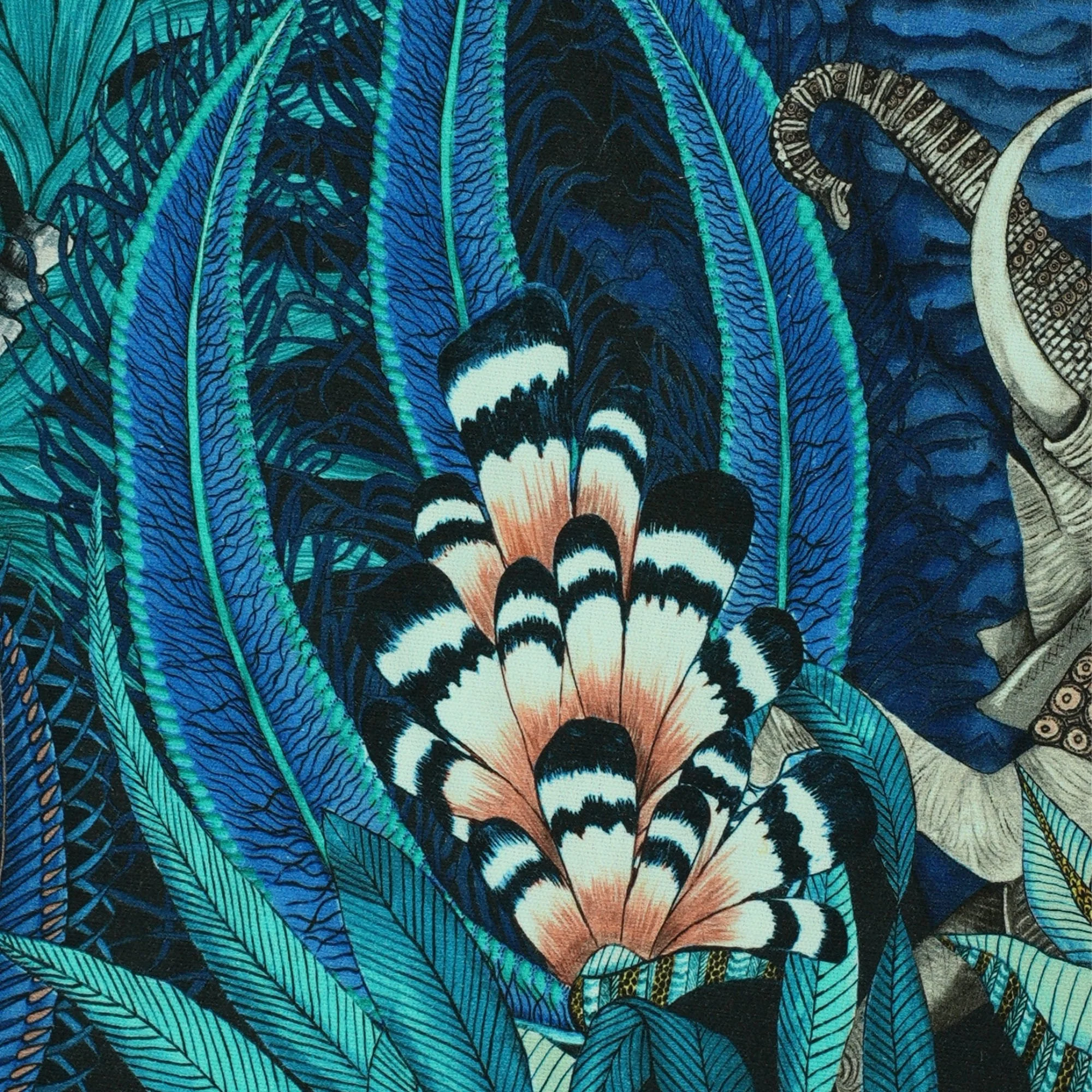 mid leopard3.jpg