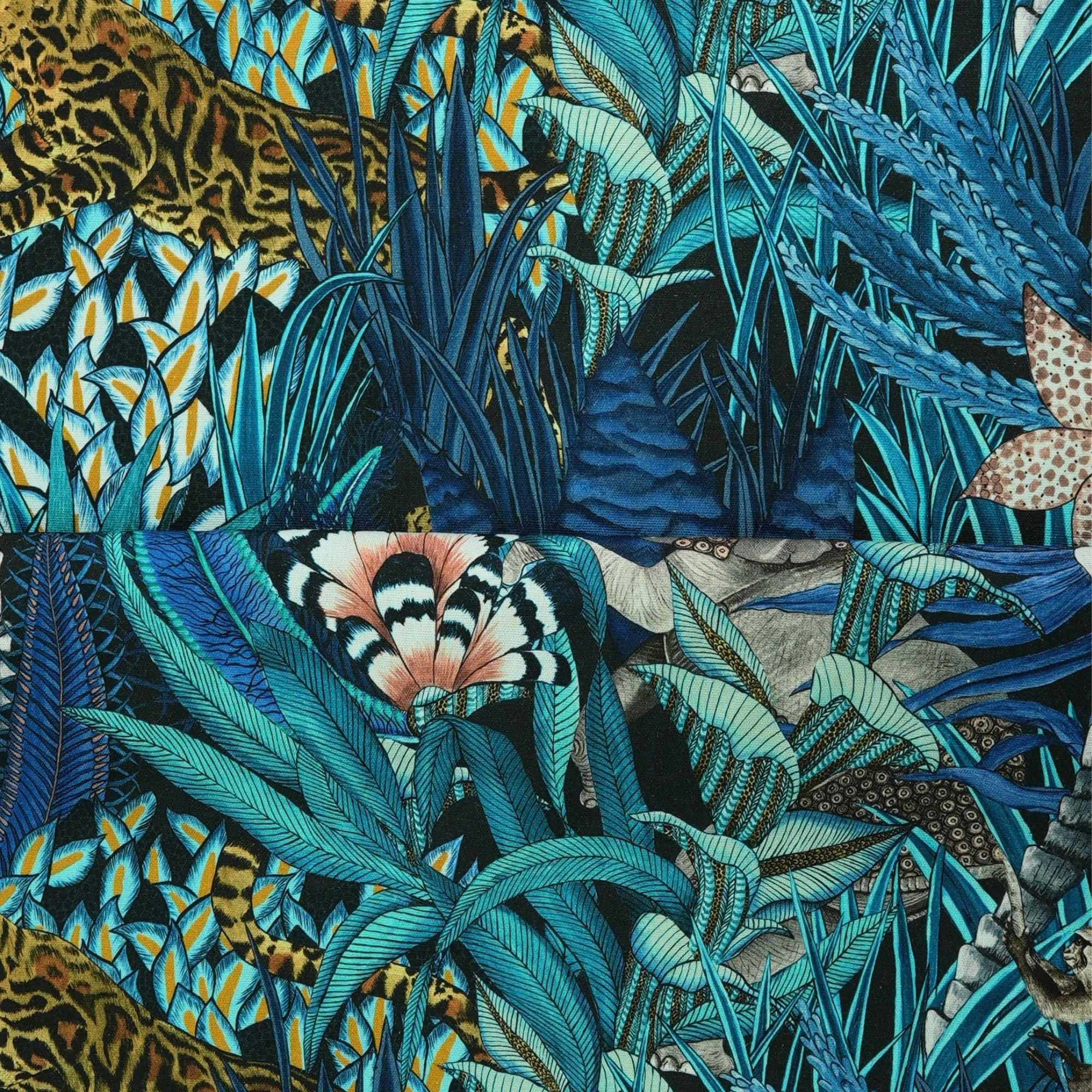 mid leopard4.jpg