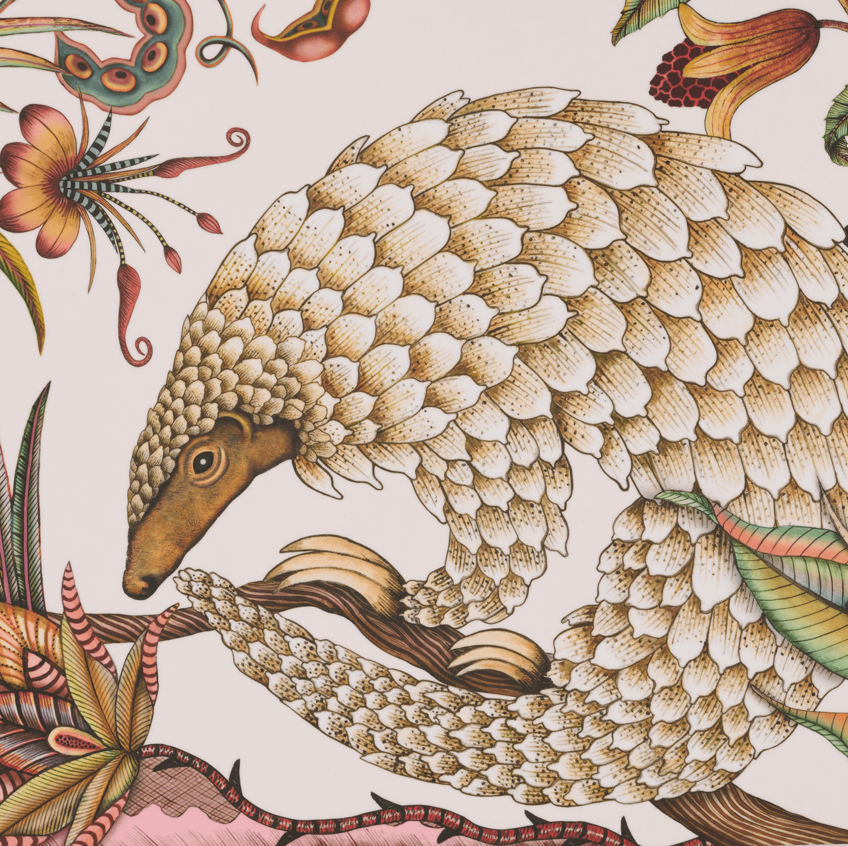Pangolin_Park_Placemat18-09-24_Ardmore_Product_Shoot_18.png