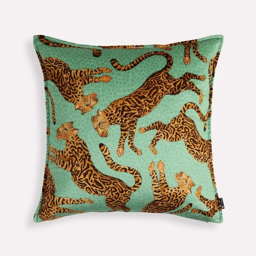 Cheetah Kings in Jade040A9961.jpg