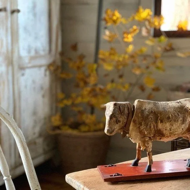 Sharing a few pictures from the past. A goal for this upcoming week is to try to take some fresh new autumn photos. I kind of lost interest in photography, but, fall always inspires me.