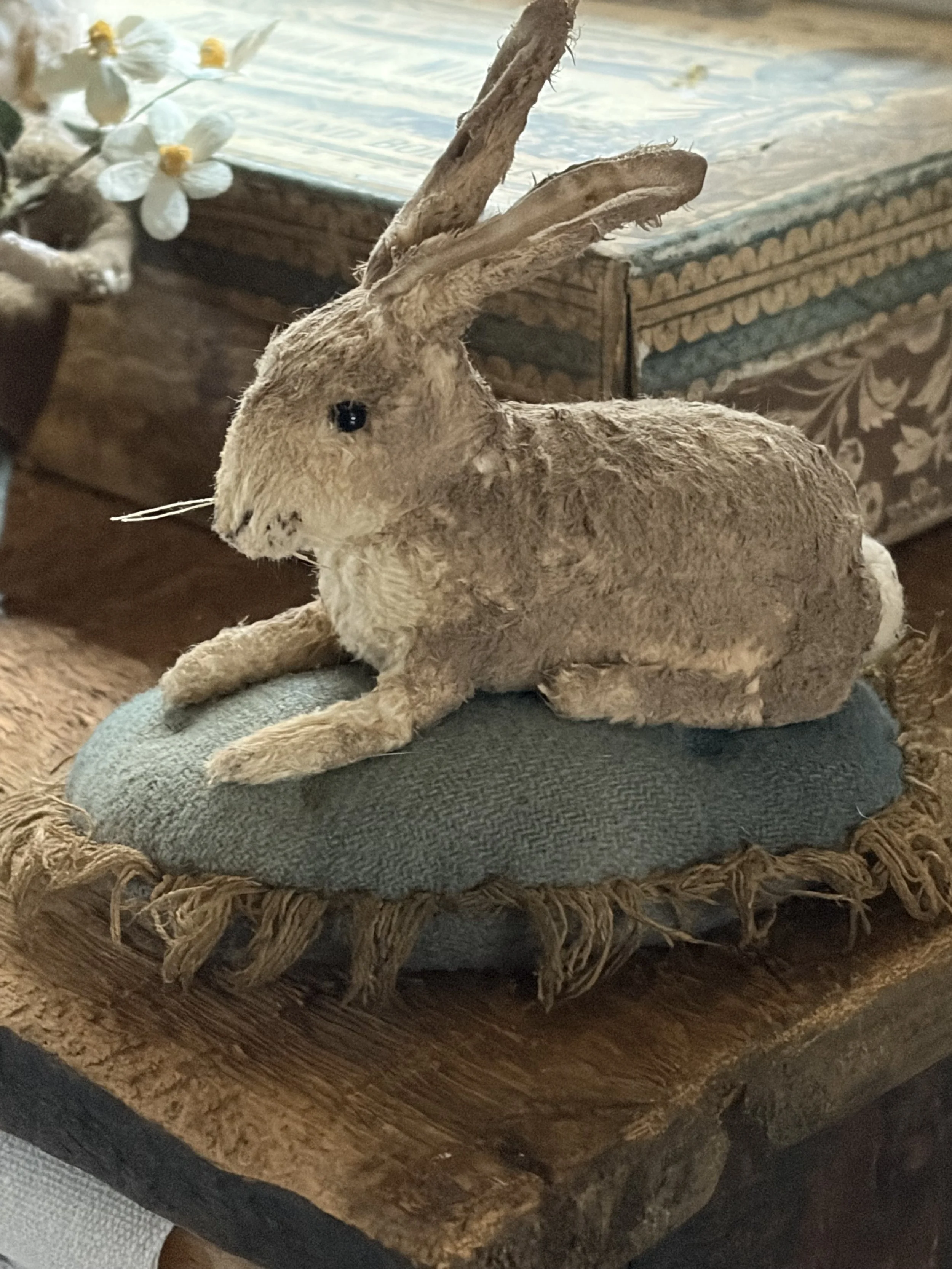 Bunny on a Cushion
