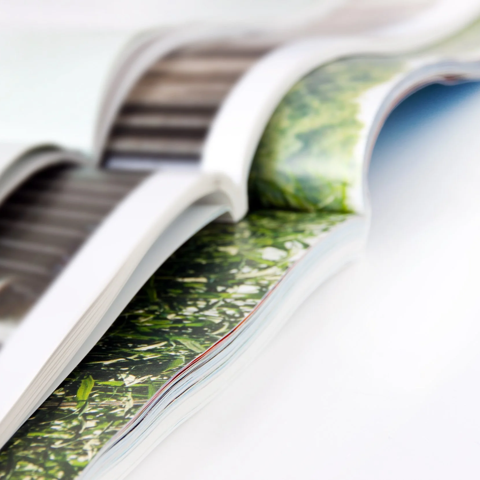 Aufgeschlagene Zeitschrift mit Bildern von Pflanzen und Natur.