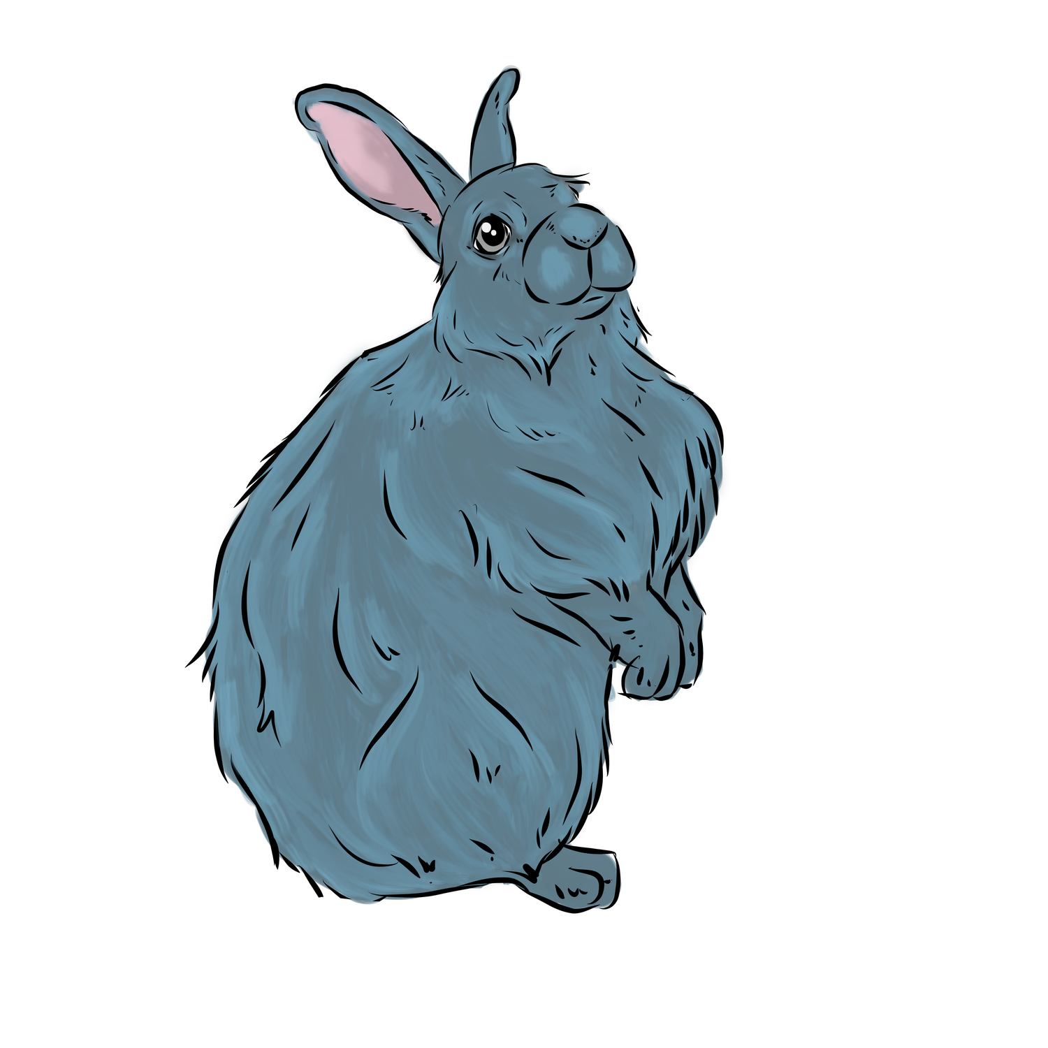 Youth Voucher — United Angora Rabbit Club